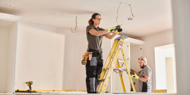 Best Electric Panel Repair  in Taylors Falls, MN