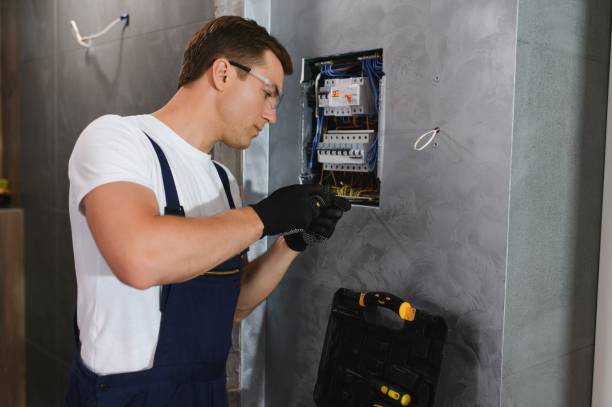 Best Electrical System Inspection  in Taylors Falls, MN